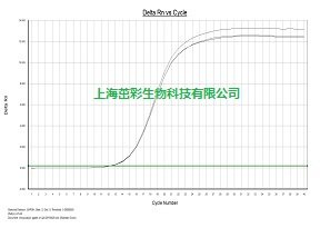 real-time PCR.jpg