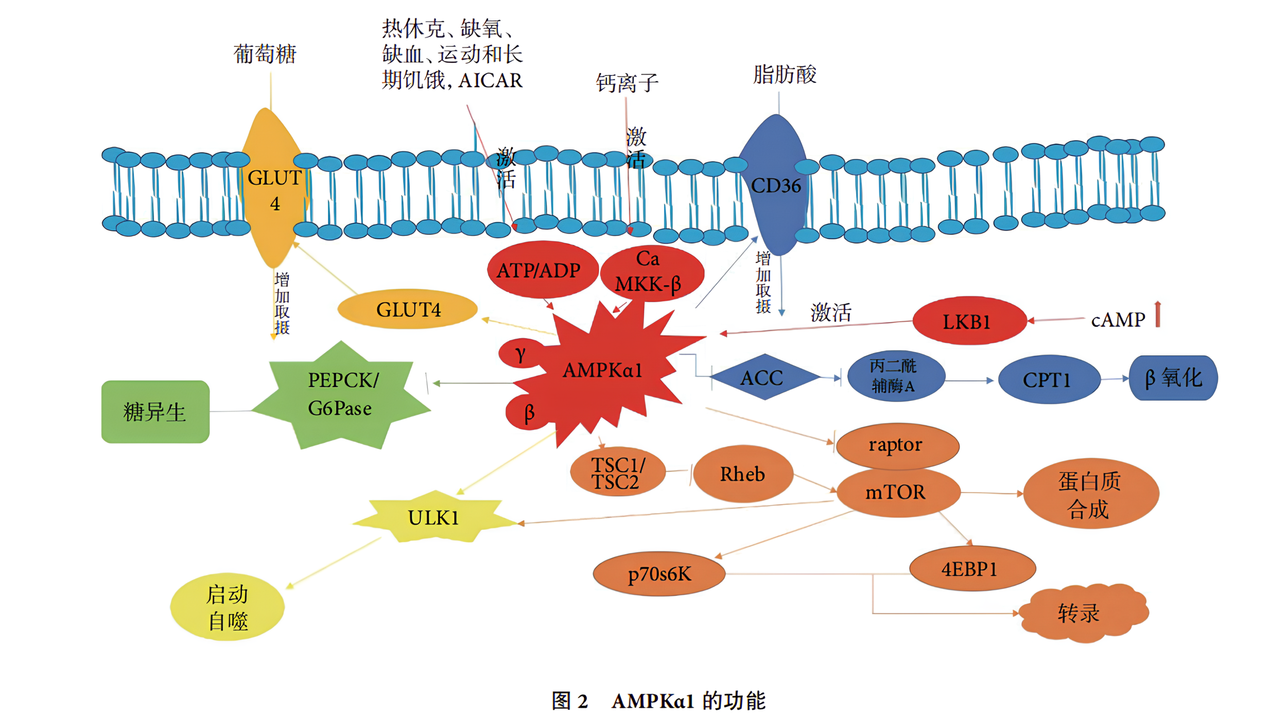 QQ图片20230602091427(1).png