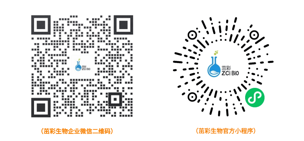未命名 (2).png